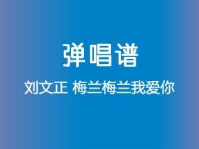 刘文正《梅兰梅兰我爱你》吉他谱G调吉他弹唱谱