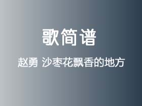 赵勇《沙枣花飘香的地方》简谱C调钢琴指弹独奏谱