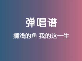 搁浅的鱼《我的这一生》吉他谱G调吉他弹唱谱