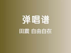 田震《自由自在》吉他谱C调吉他弹唱谱