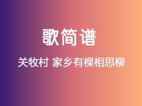 关牧村《家乡有棵相思柳》简谱B调钢琴指弹独奏谱