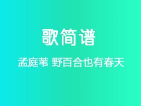 孟庭苇《野百合也有春天》简谱C调钢琴弹唱谱