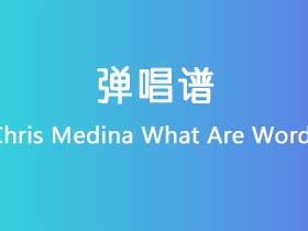 Chris Medina《What Are Words》吉他谱C调吉他弹唱谱