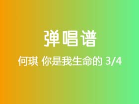 何琪《你是我生命的3/4》吉他谱G调吉他弹唱谱