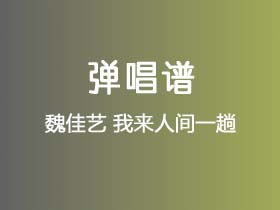 魏佳艺《我来人间一趟》吉他谱G调吉他弹唱谱