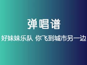 好妹妹乐队《你飞到城市另一边》吉他谱C调吉他弹唱谱