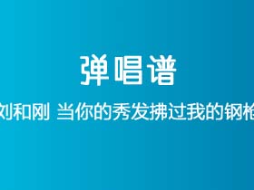 刘和刚《当你的秀发拂过我的钢枪》吉他谱G调吉他弹唱谱