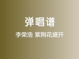 李荣浩《紫荆花盛开》吉他谱G调吉他弹唱谱