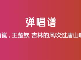 邵帅,梁靖崑,王楚钦《吉林的风吹过唐山吹到了河南》吉他谱G调吉他弹唱谱