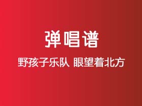 野孩子乐队《眼望着北方》吉他谱C调吉他弹唱谱