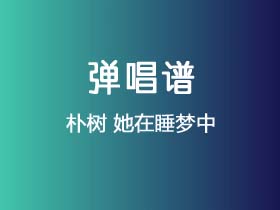 朴树《她在睡梦中》吉他谱G调吉他弹唱谱