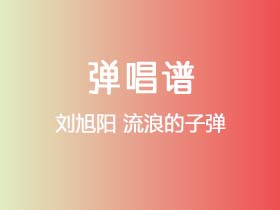 刘旭阳《流浪的子弹》吉他谱C调吉他弹唱谱