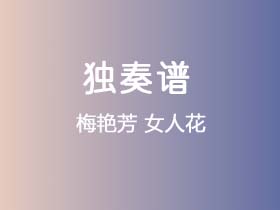 梅艳芳《女人花》吉他谱G调吉他指弹独奏谱