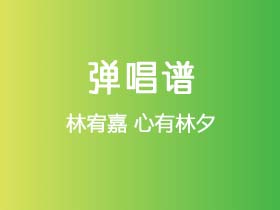 林宥嘉《心有林夕》吉他谱D调吉他弹唱谱