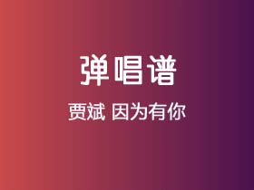 贾斌《因为有你》吉他谱C调吉他弹唱谱