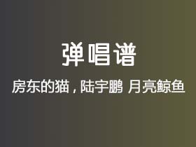 房东的猫,陆宇鹏《月亮鲸鱼》吉他谱G调吉他弹唱谱