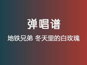 地铁兄弟《冬天里的白玫瑰》吉他谱D调吉他弹唱谱