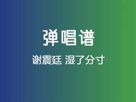 谢震廷《湿了分寸》吉他谱C调吉他弹唱谱