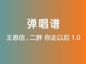 王恩信,二胖《你走以后1.0》吉他谱D调吉他弹唱谱