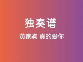 黄家驹《真的爱你》吉他谱C调吉他指弹独奏谱