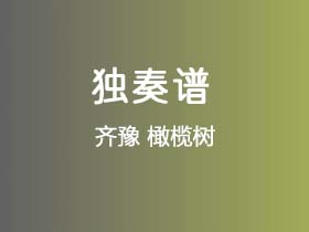 齐豫《橄榄树》吉他谱C调吉他指弹独奏谱