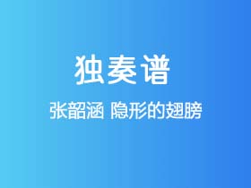 张韶涵《隐形的翅膀》吉他谱C调吉他指弹独奏谱