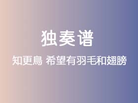 知更鳥《希望有羽毛和翅膀》吉他谱C调吉他指弹独奏谱