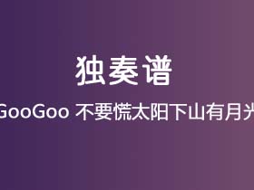 GooGoo《不要慌太阳下山有月光》吉他谱G调吉他指弹独奏谱