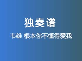 韦雄《根本你不懂得爱我》吉他谱C调吉他指弹独奏谱