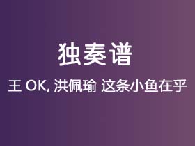 王OK,洪佩瑜《这条小鱼在乎》吉他谱G调吉他指弹独奏谱