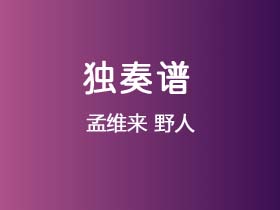 孟维来《野人》吉他谱C调吉他指弹独奏谱