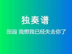 田园《我想我已经失去你了》吉他谱G调吉他指弹独奏谱