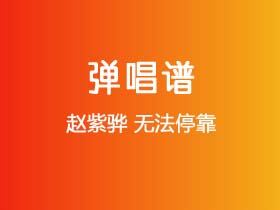 赵紫骅《无法停靠》吉他谱C调吉他弹唱谱