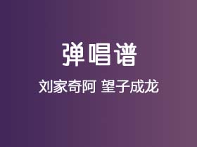 刘家奇阿《望子成龙》吉他谱C调吉他弹唱谱