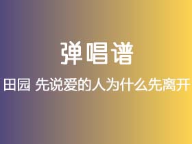 田园《先说爱的人为什么先离开》吉他谱C调吉他弹唱谱