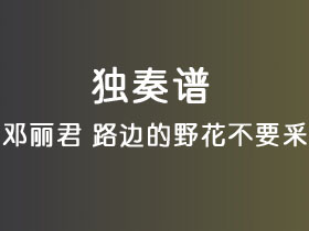 邓丽君《路边的野花不要采》吉他谱C调吉他指弹独奏谱