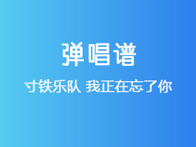 寸铁乐队《我正在忘了你》吉他谱C调吉他弹唱谱