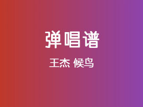 王杰《候鸟》吉他谱G调吉他弹唱谱