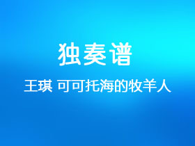 王琪《可可托海的牧羊人》吉他谱G调吉他指弹独奏谱