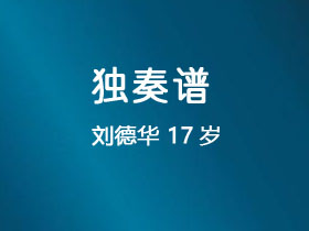 刘德华《17岁》吉他谱C调吉他指弹独奏谱