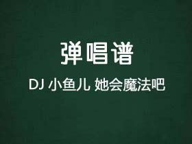 DJ小鱼儿《她会魔法吧》吉他谱G调吉他弹唱谱