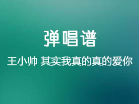 王小帅《其实我真的真的爱你》吉他谱C调吉他弹唱谱