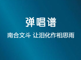 南合文斗《让泪化作相思雨》吉他谱G调吉他弹唱谱