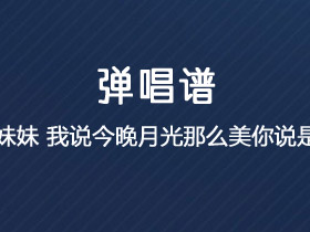 好妹妹乐队《我说今晚月光那么美,你说是的》吉他谱C调吉他弹唱谱