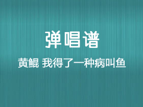 黄鲲《我得了一种病叫鱼》吉他谱C调吉他弹唱谱