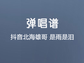 抖音北海雄哥《是雨是泪》吉他谱C调吉他弹唱谱