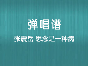 张震岳《思念是一种病》吉他谱D调吉他弹唱谱