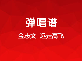 金志文《远走高飞》吉他谱C调吉他弹唱谱