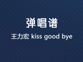 王力宏《Kiss Good bye》吉他谱D调吉他弹唱谱