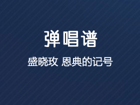 盛晓玫《恩典的记号》吉他谱D调吉他弹唱谱